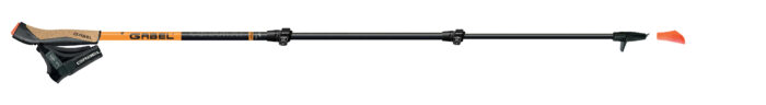 Gabel Carbon XT 3S-100 Snake Carbon